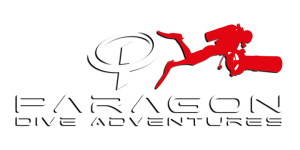 Paragon Dive Adventures